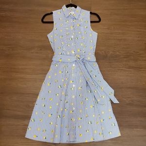 J. Crew Seersucker Lemon Dress